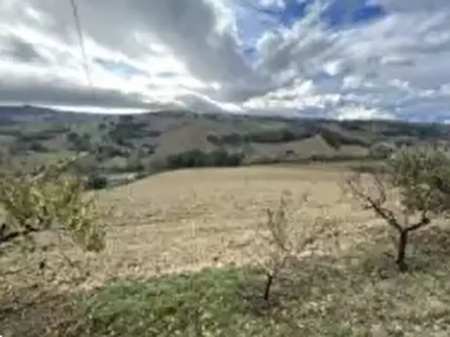 Immagine 3 di Terreno agricolo in vendita  in Via Forche di Tenna a Montottone