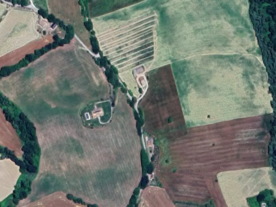 Immagine 6 di Terreno agricolo in vendita  in Via Forche di Tenna a Montottone