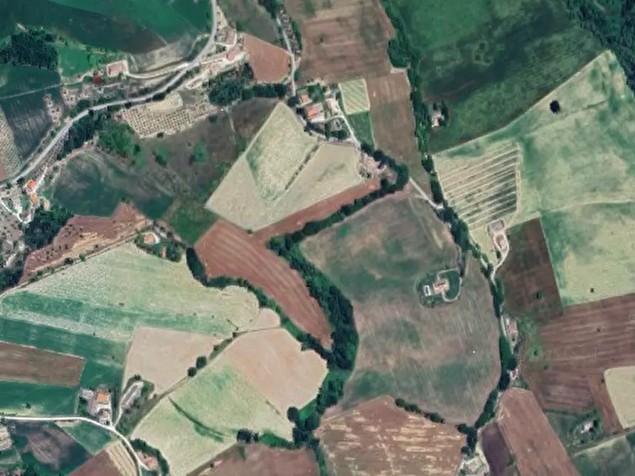 Immagine 7 di Terreno agricolo in vendita  in Via Forche di Tenna a Montottone