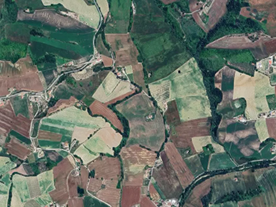 Immagine 8 di Terreno agricolo in vendita  in Via Forche di Tenna a Montottone