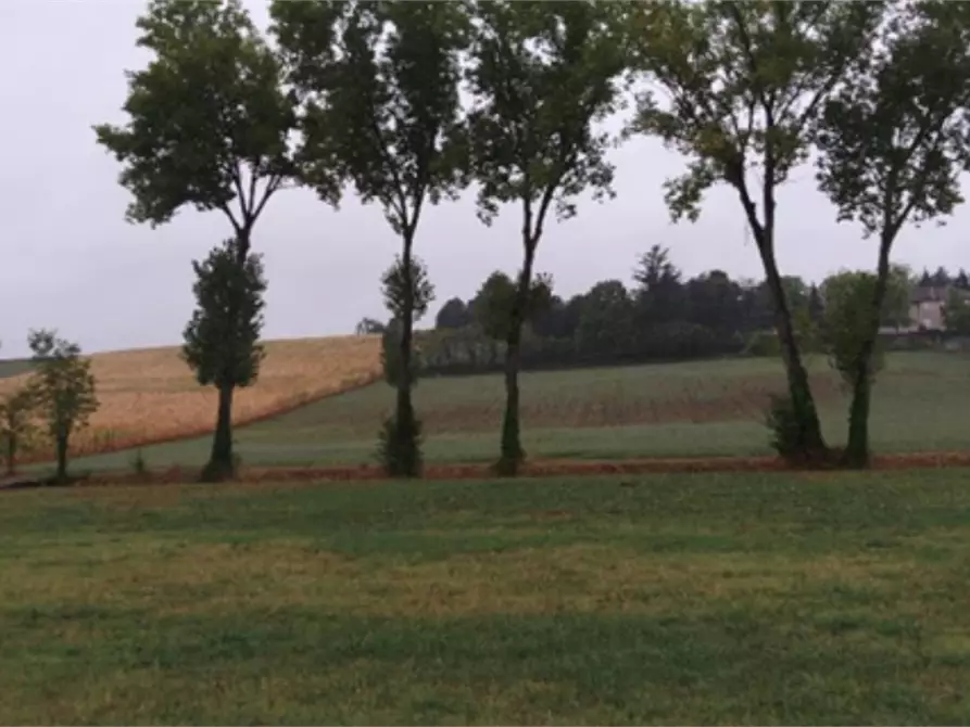 Immagine 2 di Terreno edificabile in vendita  in Strada Vicinale del Castellino a Alessandria