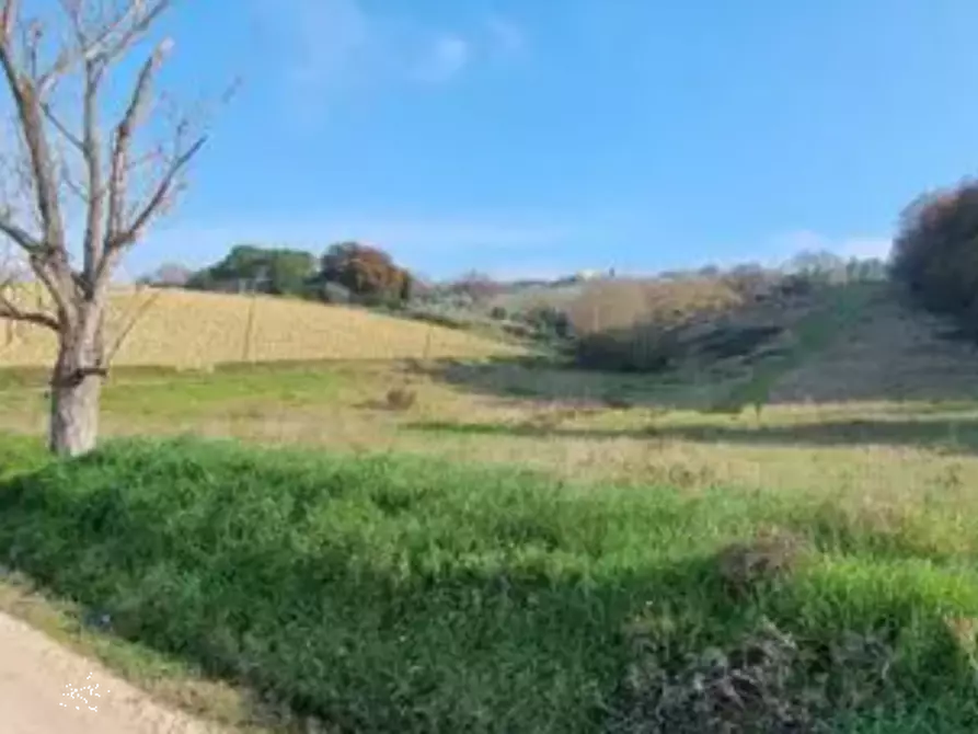Immagine 5 di Rustico / casale in vendita  in Via Cerretino  a Sant'elpidio A Mare