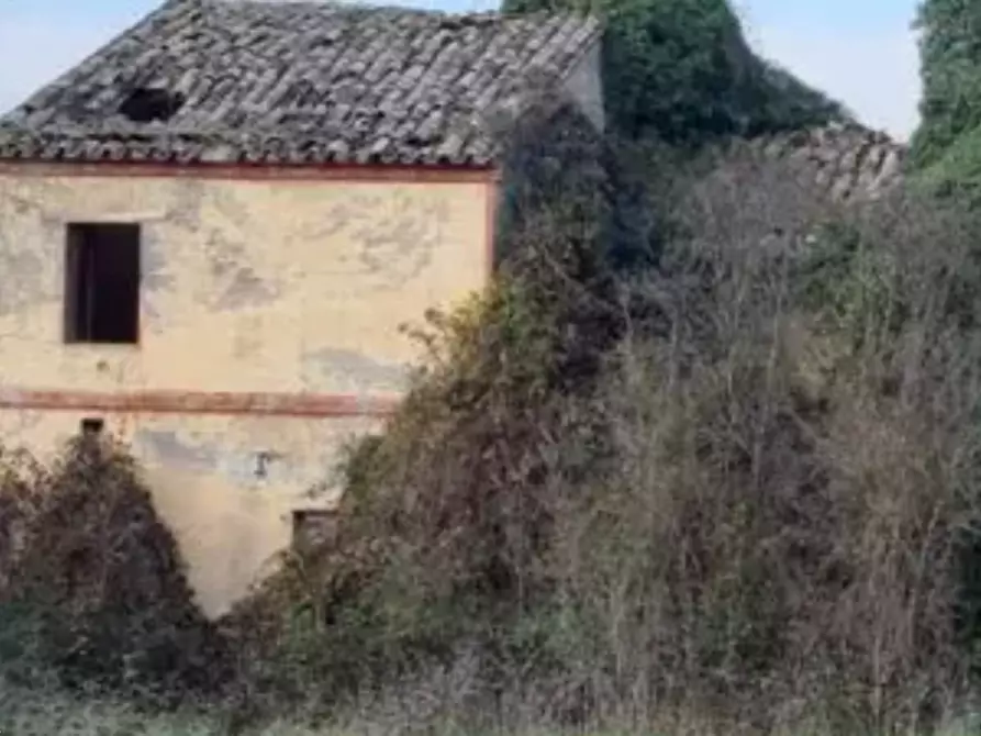 Immagine 3 di Rustico / casale in vendita  in Via Cerretino  a Sant'elpidio A Mare