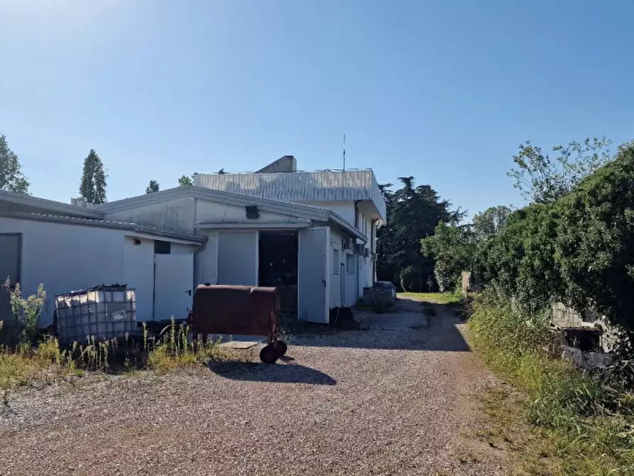 Immagine 15 di Capannone industriale in vendita  in Via IV Genova a Pozzuolo Del Friuli