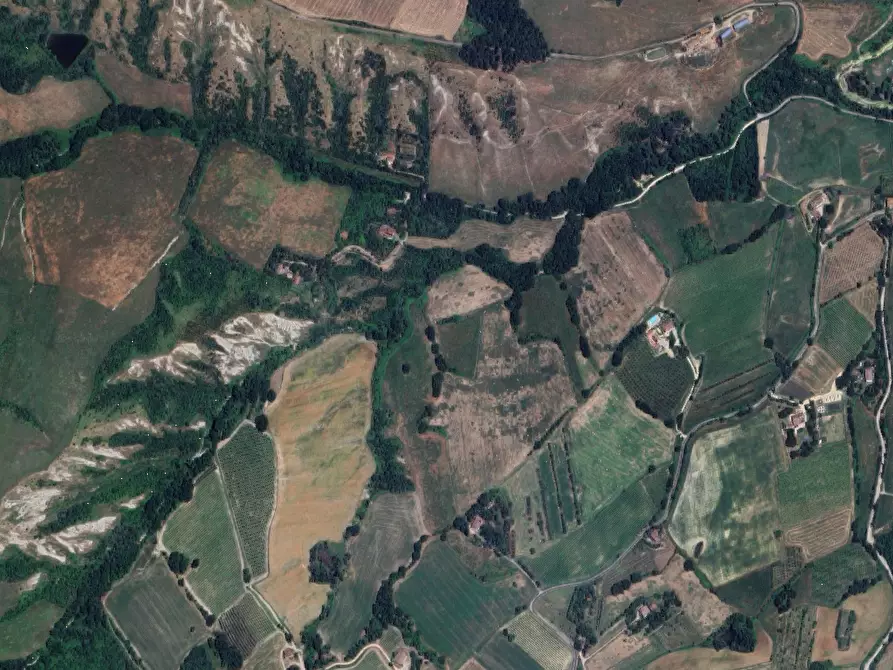 Immagine 3 di Terreno agricolo in vendita  in Via Urbiano a Brisighella