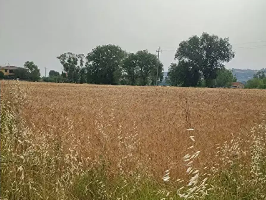 Immagine 1 di Terreno agricolo in vendita  in Via Piave a Monte Porzio