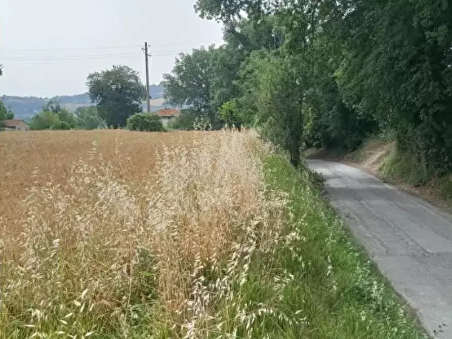 Immagine 2 di Terreno agricolo in vendita  in Via Piave a Monte Porzio