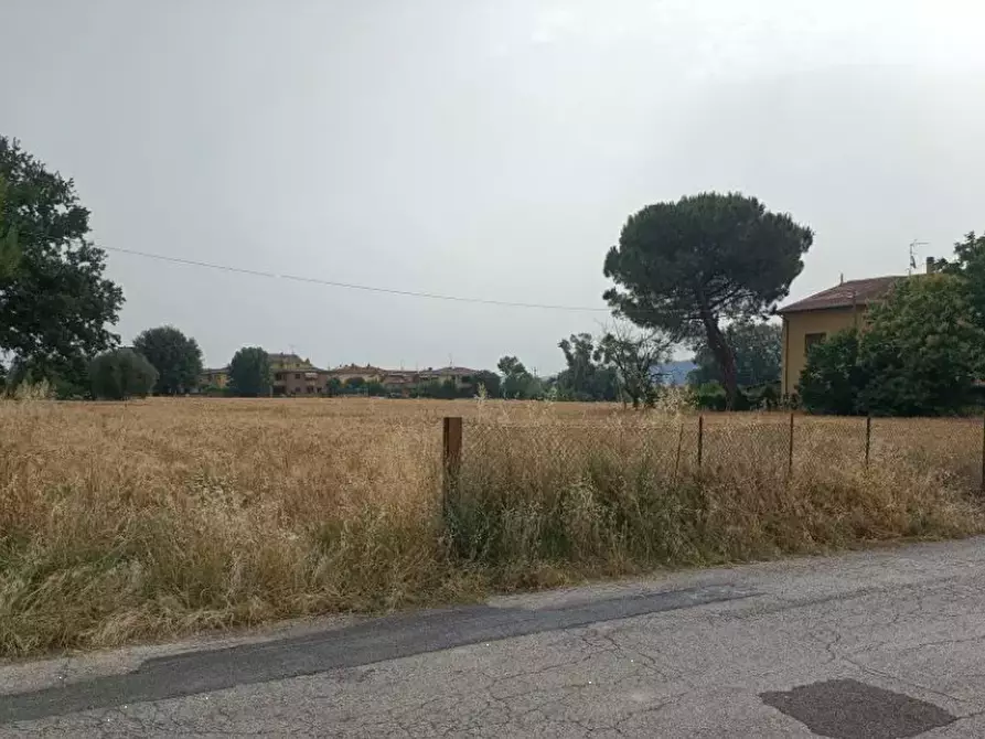 Immagine 3 di Terreno agricolo in vendita  in Via Piave a Monte Porzio