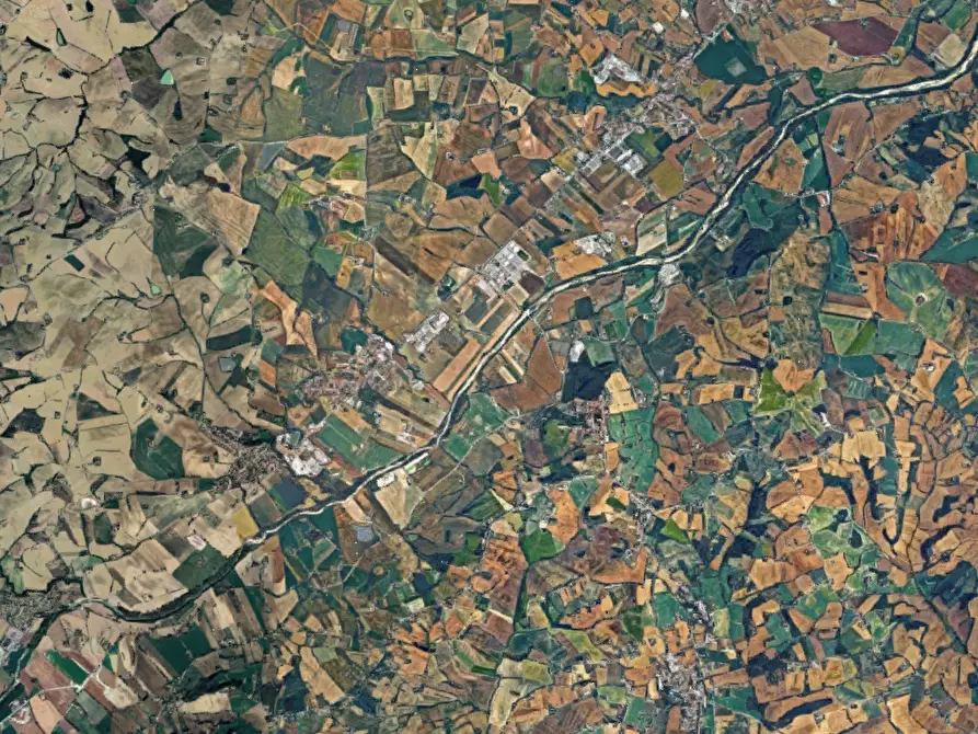 Immagine 8 di Terreno agricolo in vendita  in Via Piave a Monte Porzio