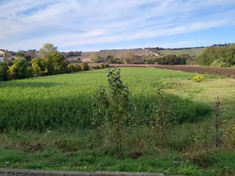 Immagine 2 di Terreno edificabile in vendita  in Via Ugo Betti a Mondolfo