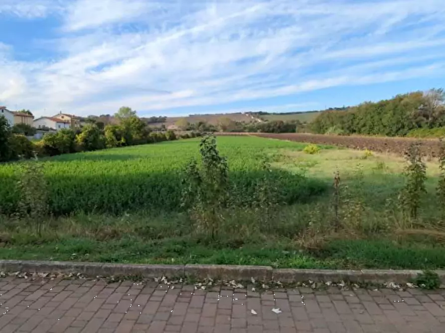 Immagine 3 di Terreno edificabile in vendita  in Via Ugo Betti a Mondolfo