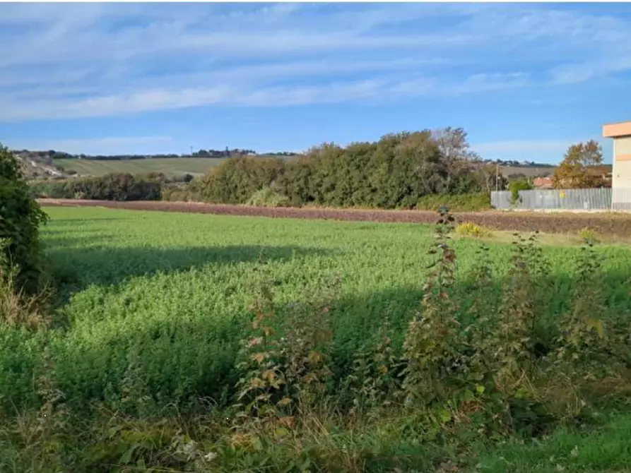 Immagine 4 di Terreno edificabile in vendita  in Via Ugo Betti a Mondolfo