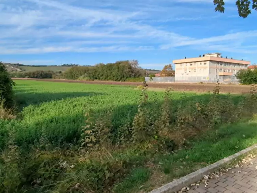 Immagine 5 di Terreno edificabile in vendita  in Via Ugo Betti a Mondolfo