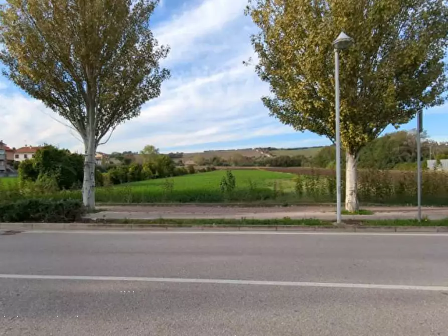 Immagine 7 di Terreno edificabile in vendita  in Via Ugo Betti a Mondolfo