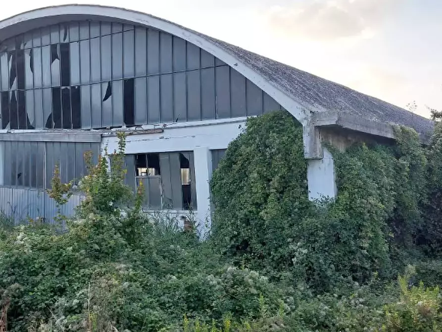 Immagine 2 di Capannone industriale in vendita  in Via Ancona  a Tavullia