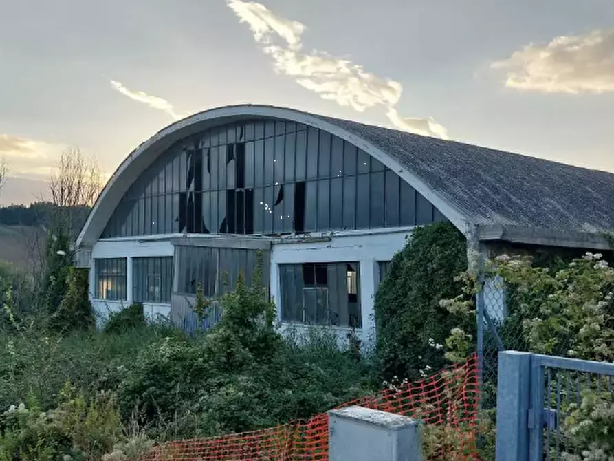 Immagine 3 di Capannone industriale in vendita  in Via Ancona  a Tavullia