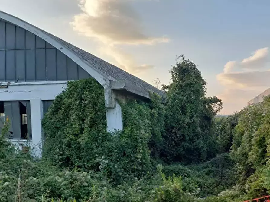 Immagine 6 di Capannone industriale in vendita  in Via Ancona  a Tavullia