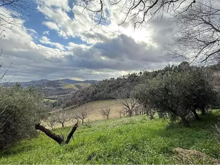 Immagine 8 di Villa in vendita  in Strada Borgo a Pesaro