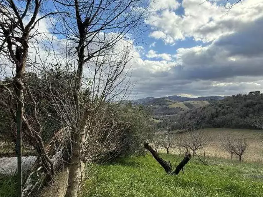 Immagine 9 di Villa in vendita  in Strada Borgo a Pesaro