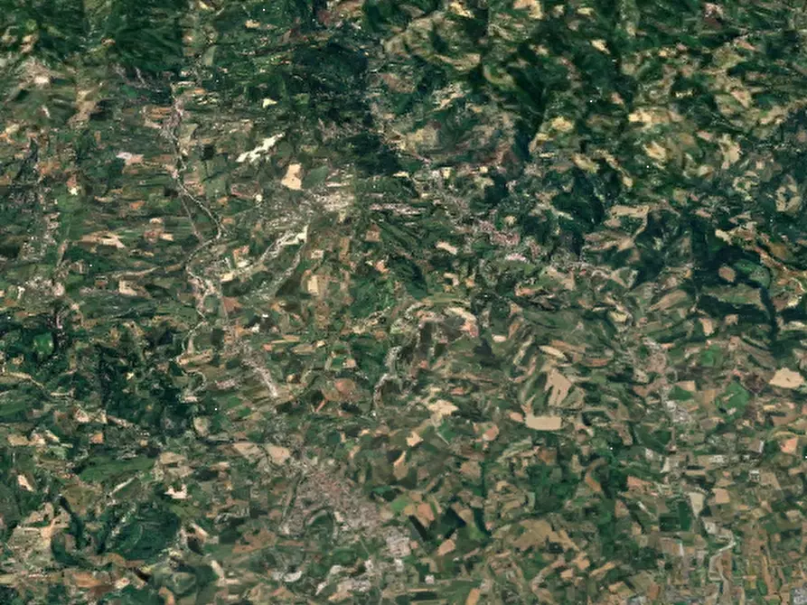 Immagine 11 di Magazzino in vendita  in Strada Massera Fiordinano a Predappio