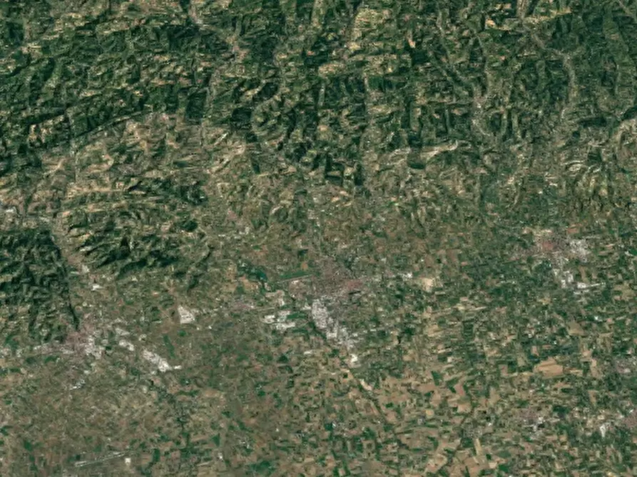 Immagine 12 di Magazzino in vendita  in Strada Massera Fiordinano a Predappio