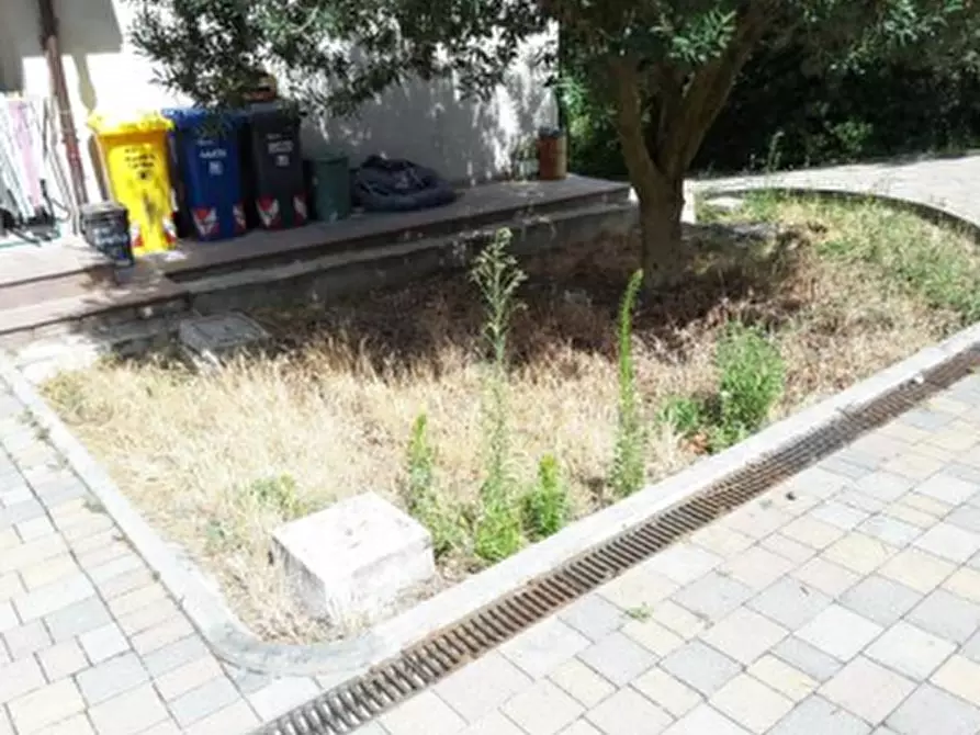 Immagine 19 di Porzione di casa in vendita  in Strada Massera Fiordinano a Predappio