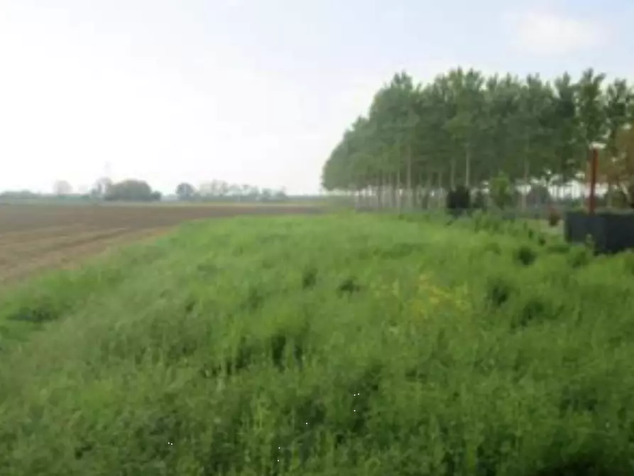 Immagine 13 di Rustico / casale in vendita  in Via Cà d'amici a Sabbioneta