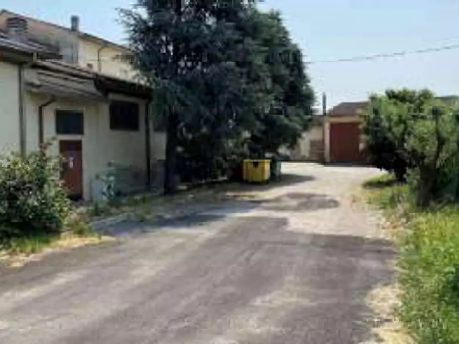 Immagine 3 di Stabile in vendita  in Strada Levata a Goito