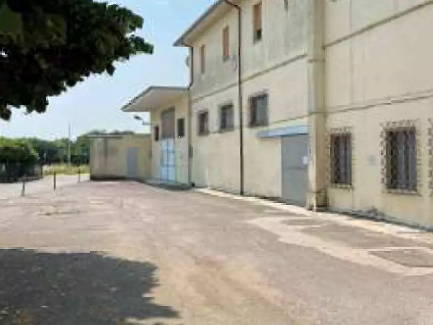 Immagine 5 di Stabile in vendita  in Strada Levata a Goito