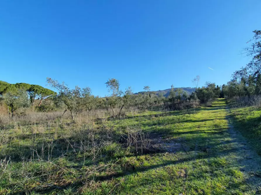 Immagine 9 di Villa in vendita  in Via Vernalese a Bagno A Ripoli