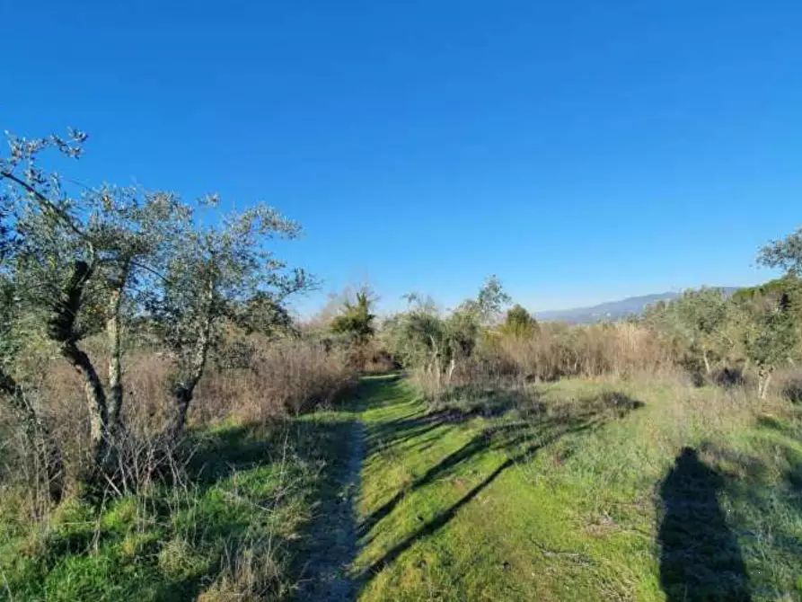Immagine 10 di Villa in vendita  in Via Vernalese a Bagno A Ripoli