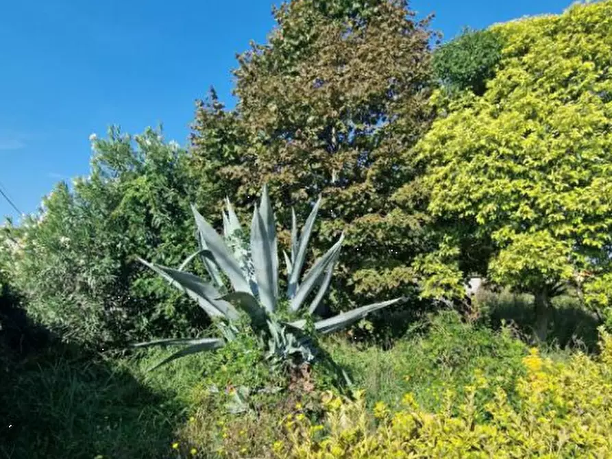 Immagine 6 di Casa indipendente in vendita  in Via Pantelleria a Aprilia