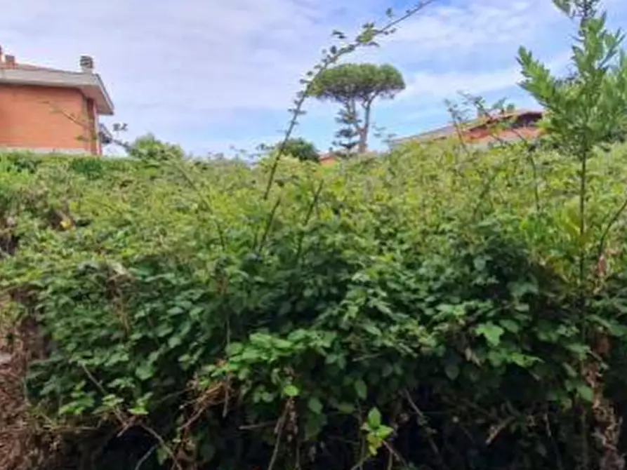 Immagine 14 di Appartamento in vendita  in Viale Andromeda a Ardea