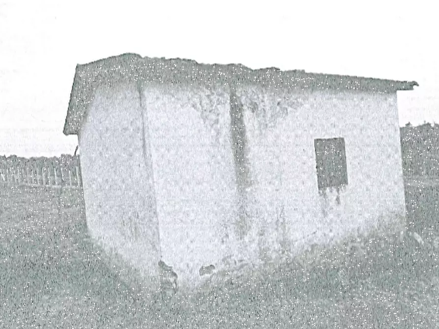 Immagine 2 di Magazzino in vendita  in Via di Santa Fumia a Castel Gandolfo