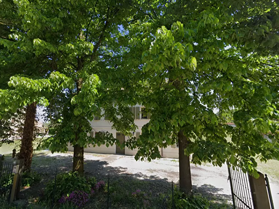 Immagine 9 di Casa indipendente in vendita  in Via Spinea a Castelnovo Bariano