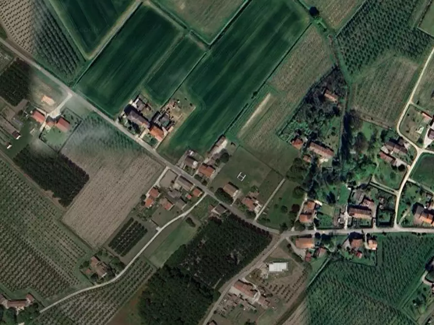 Immagine 18 di Casa indipendente in vendita  in Via Spinea a Castelnovo Bariano