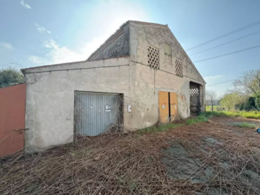 Immagine 3 di Casa indipendente in vendita  in Via IV Novembre a Vescovana