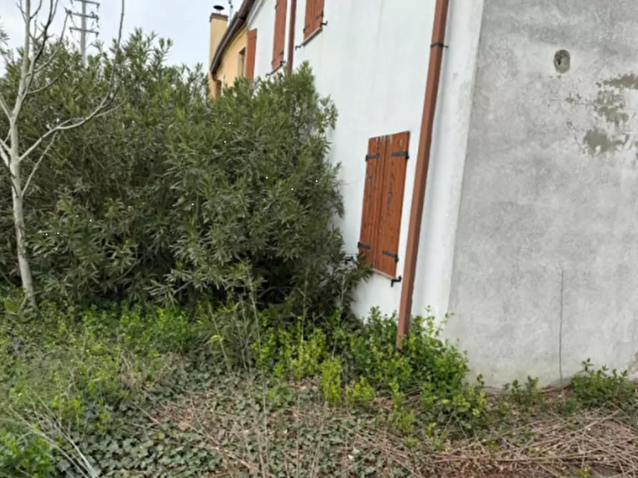 Immagine 4 di Casa indipendente in vendita  in Via IV Novembre a Vescovana