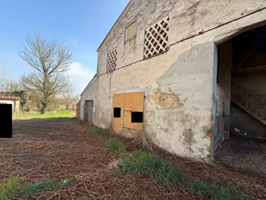 Immagine 10 di Casa indipendente in vendita  in Via IV Novembre a Vescovana