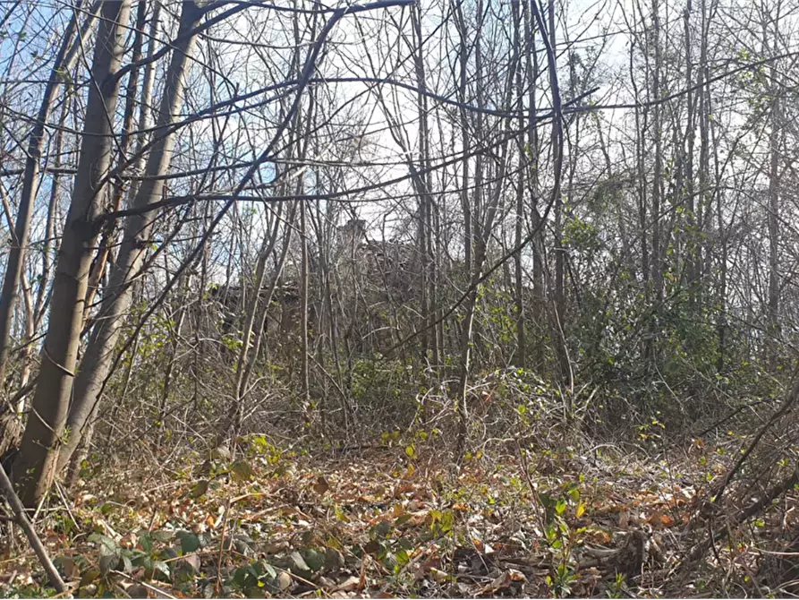 Immagine 1 di Terreno agricolo in vendita  in località Levone a Levone