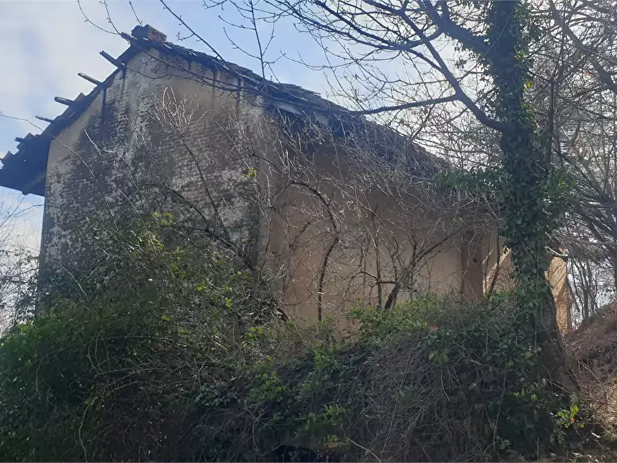 Immagine 4 di Terreno agricolo in vendita  in località Levone a Levone