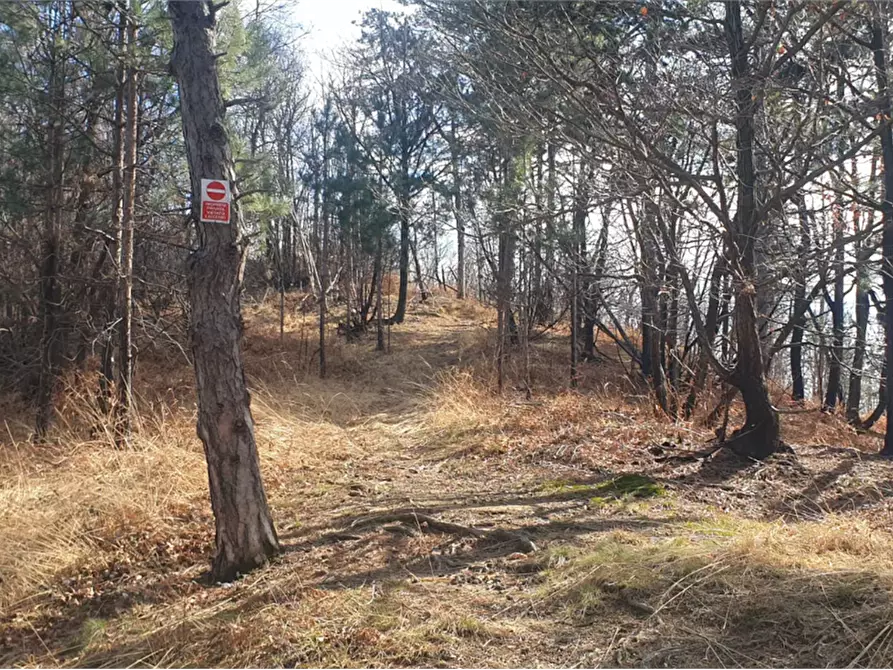 Immagine 5 di Terreno agricolo in vendita  in località Levone a Levone