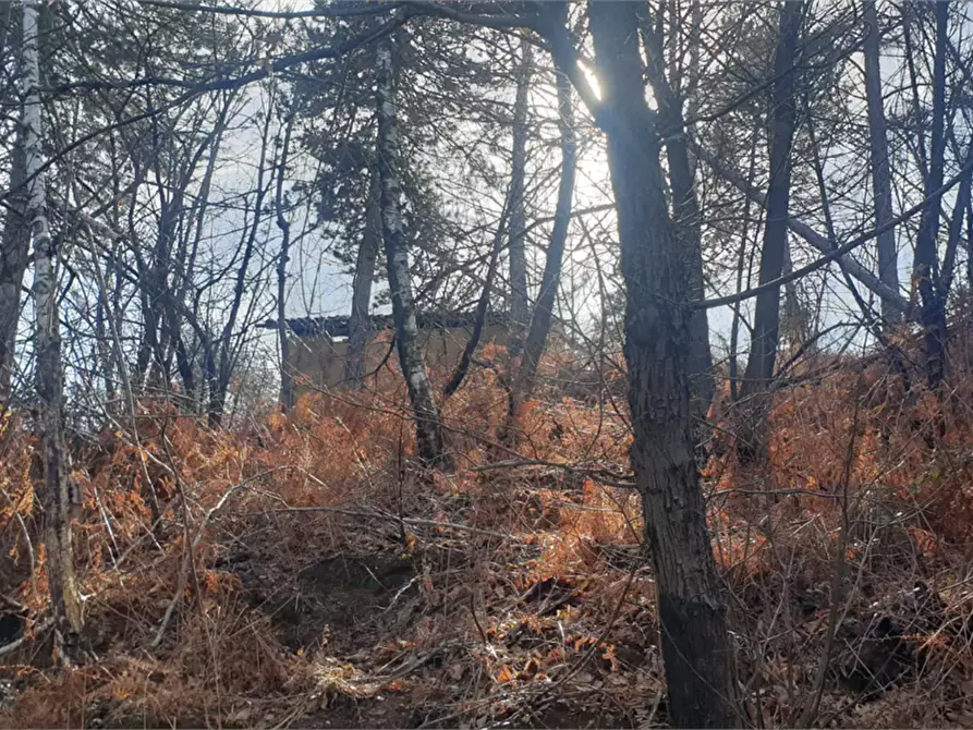 Immagine 6 di Terreno agricolo in vendita  in località Levone a Levone
