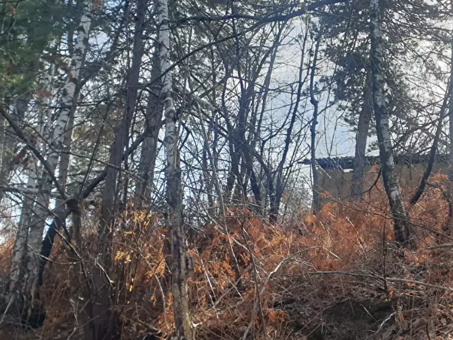 Immagine 7 di Terreno agricolo in vendita  in località Levone a Levone