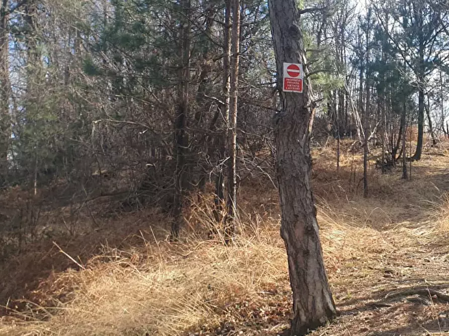 Immagine 9 di Terreno agricolo in vendita  in località Levone a Levone