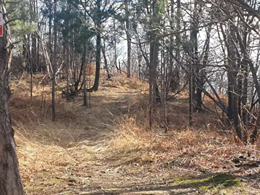 Immagine 11 di Terreno agricolo in vendita  in località Levone a Levone