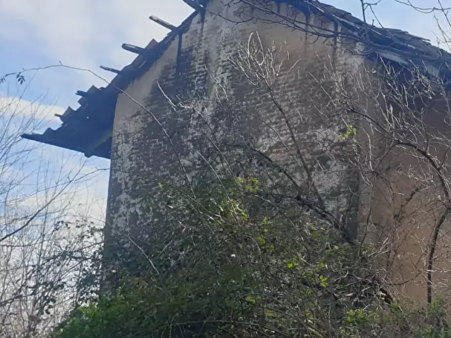 Immagine 12 di Terreno agricolo in vendita  in località Levone a Levone