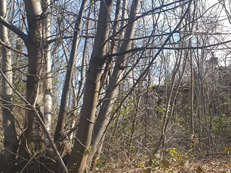 Immagine 13 di Terreno agricolo in vendita  in località Levone a Levone