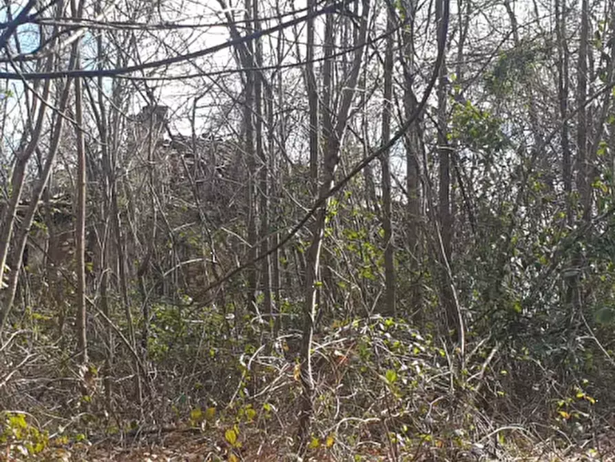 Immagine 14 di Terreno agricolo in vendita  in località Levone a Levone