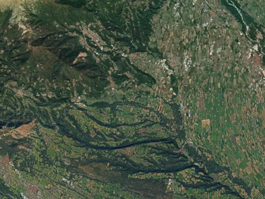 Immagine 20 di Terreno agricolo in vendita  in località Levone a Levone